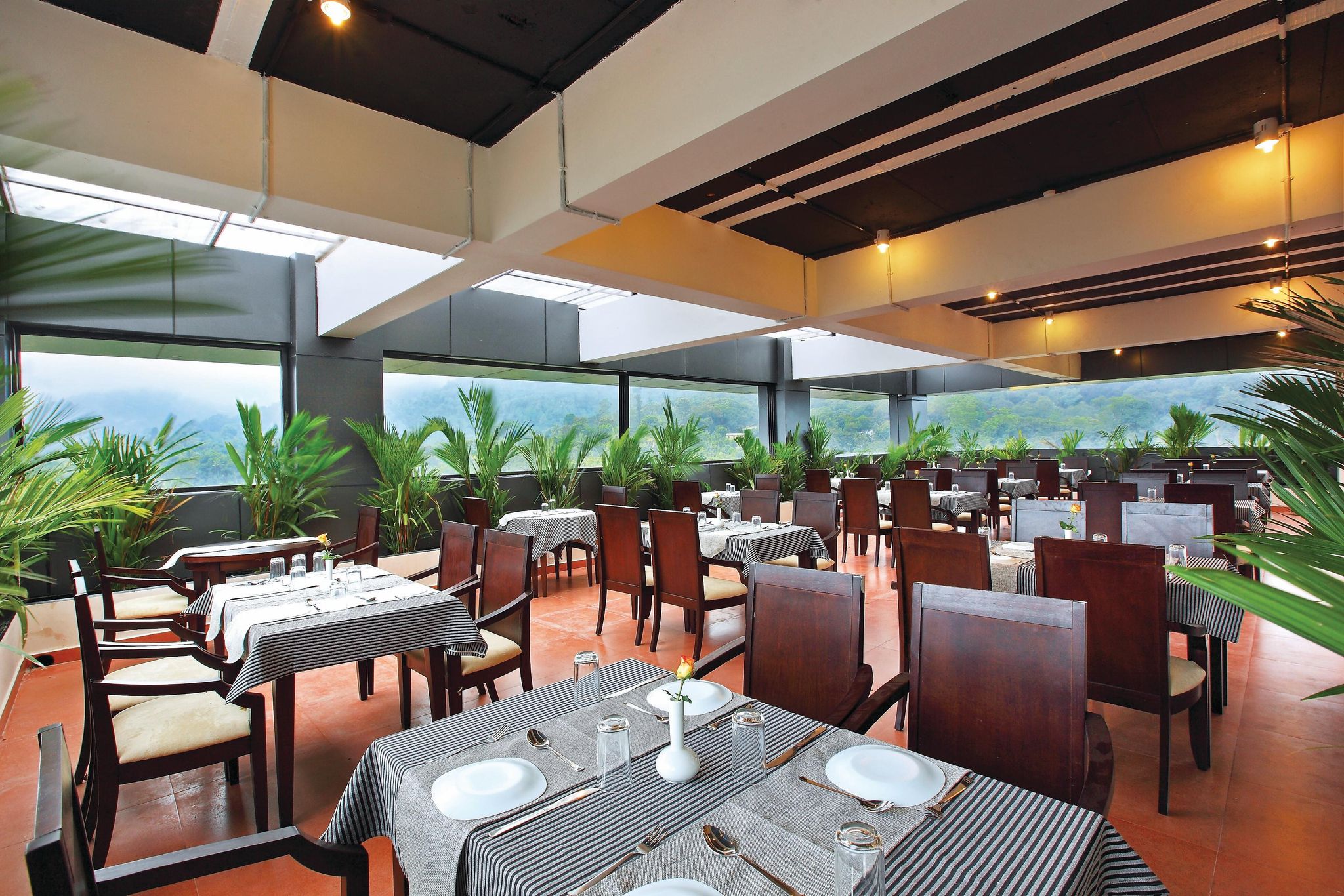 Food & Dining