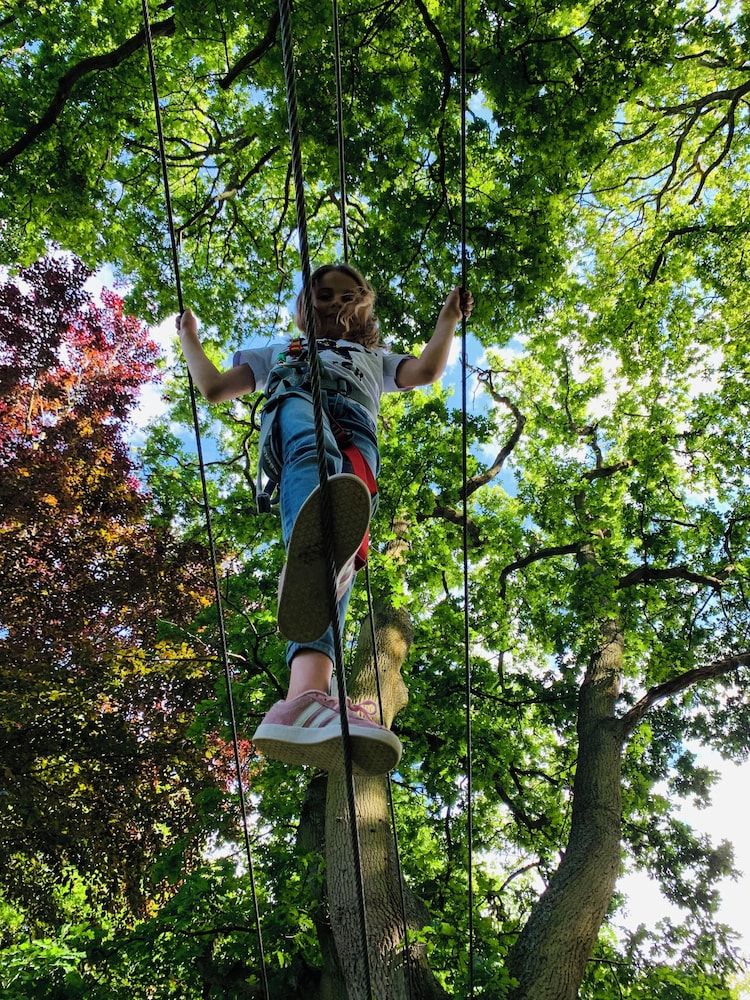 Ropes Course (Team Building)