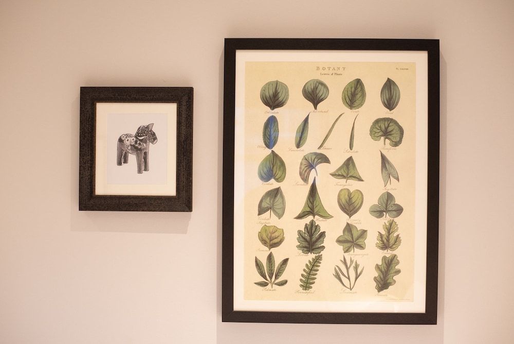 The Albert Arms Petite Double 2