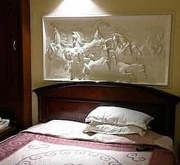 Hotel Arya Deluxe Room 5