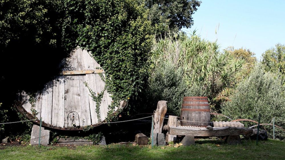 Agriturismo Case Perrotta