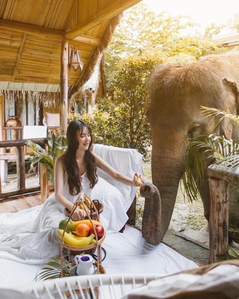 3pok resort Maewang jinxing Comfort Room 4