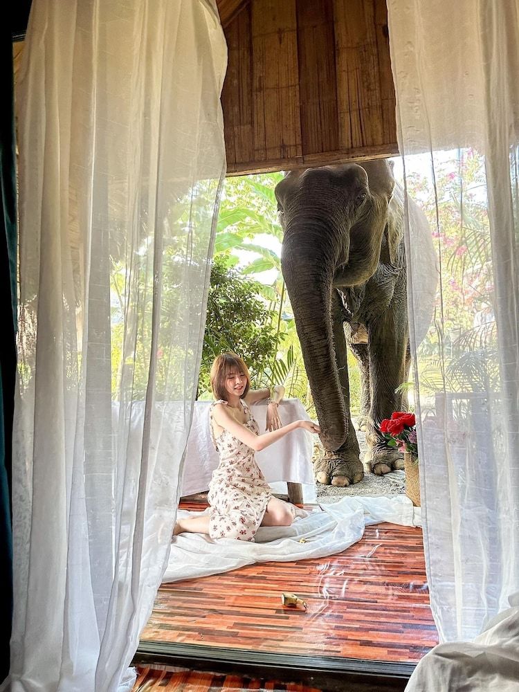 3pok resort Maewang jinxing Comfort Room 6