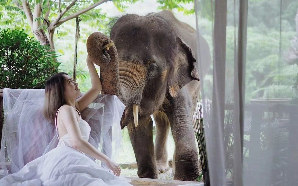 3pok resort Maewang jinxing Comfort Room 7