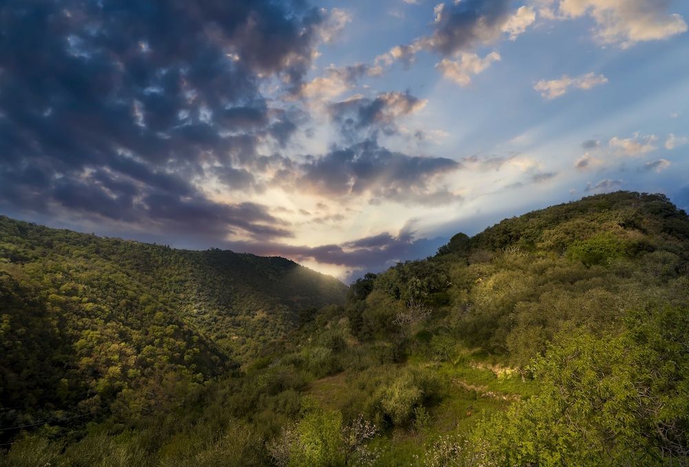 B&B Gàttina Classic Double Room, Garden View 6