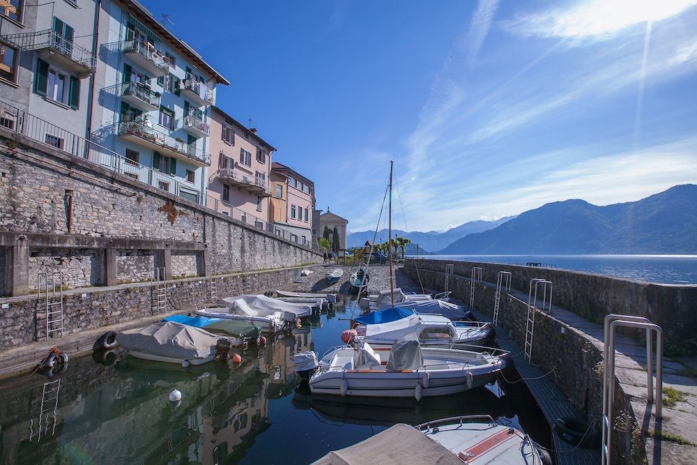 Riva Bellano Camelia 1
