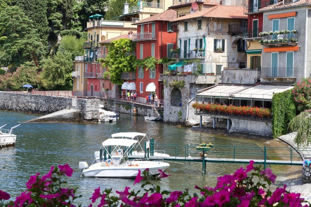 Riva Bellano Camelia 1
