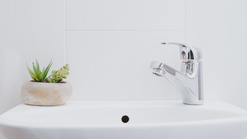 Borobudur Bed & Breakfast - Hostel Superior Room, 2 Twin Beds, Garden View 3