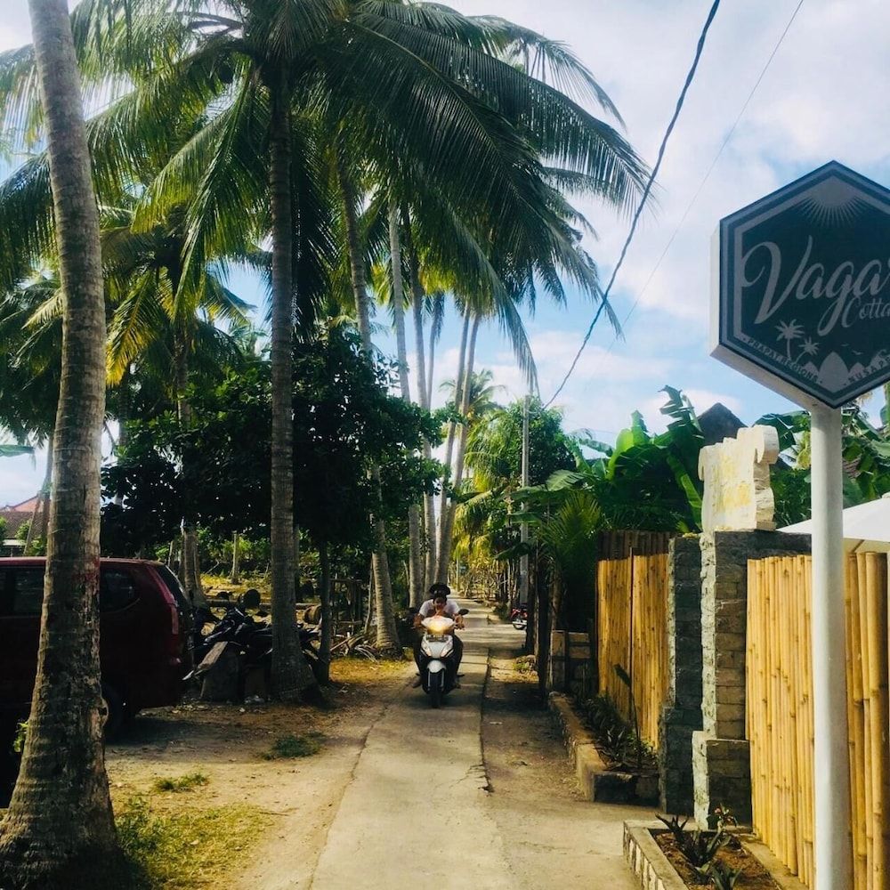 undefined The Vagary Vibes 5