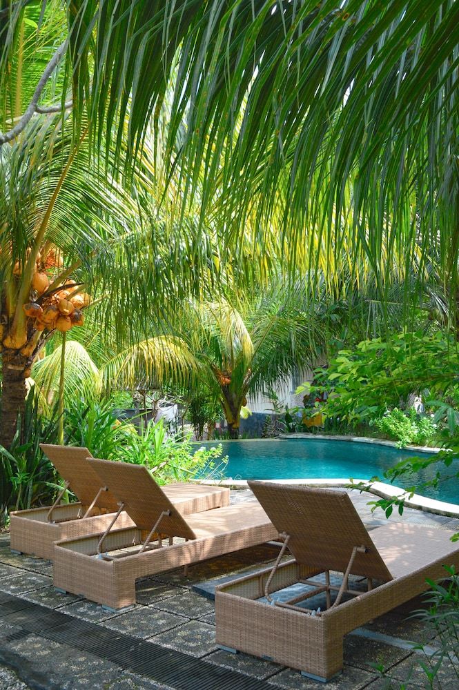 undefined Tarzan Marriott On Penida 10