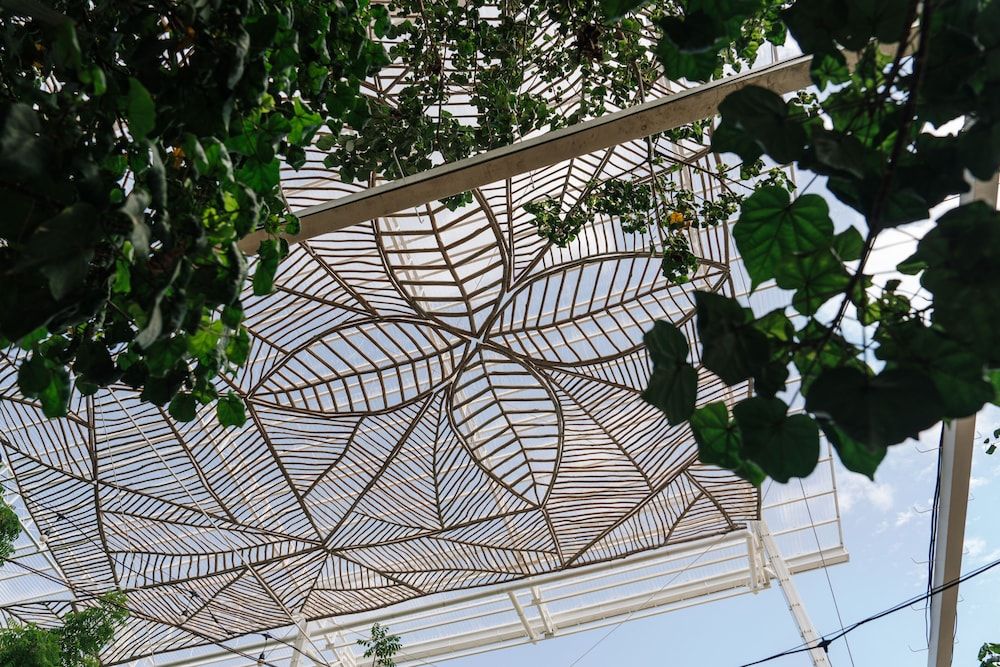 undefined Mambo Beach Resort 3