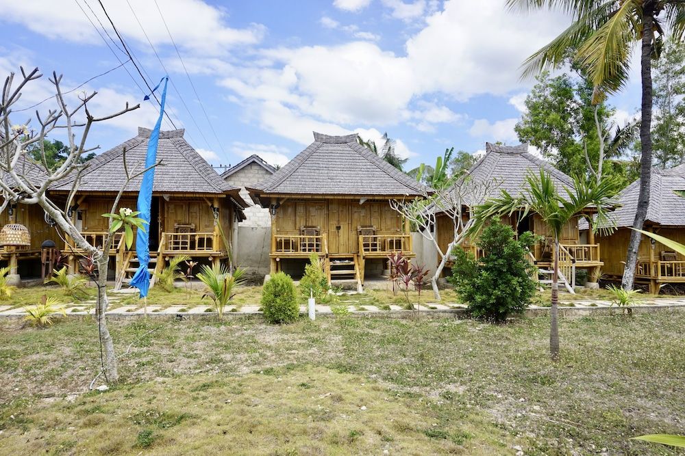 undefined Green Bamboo 6