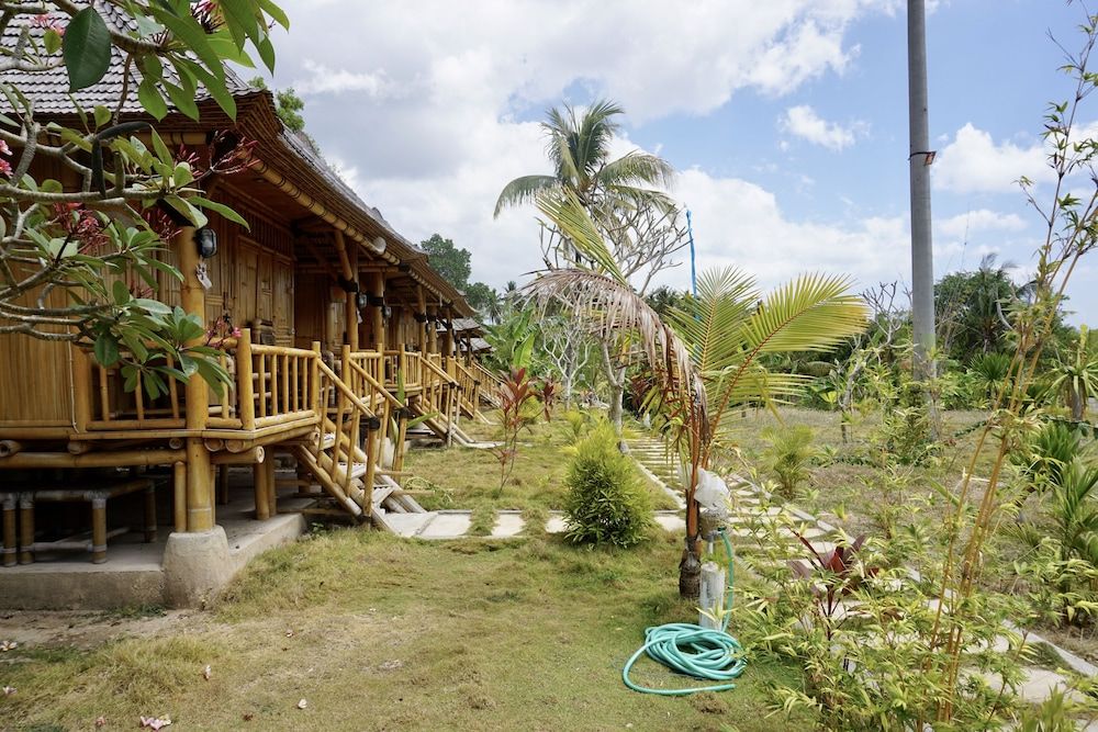 undefined Green Bamboo 5