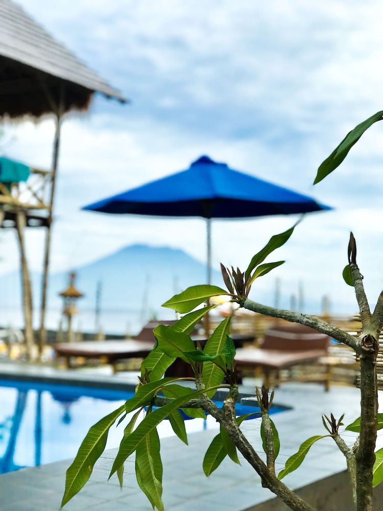 undefined Pondok Bamboo Villa 8