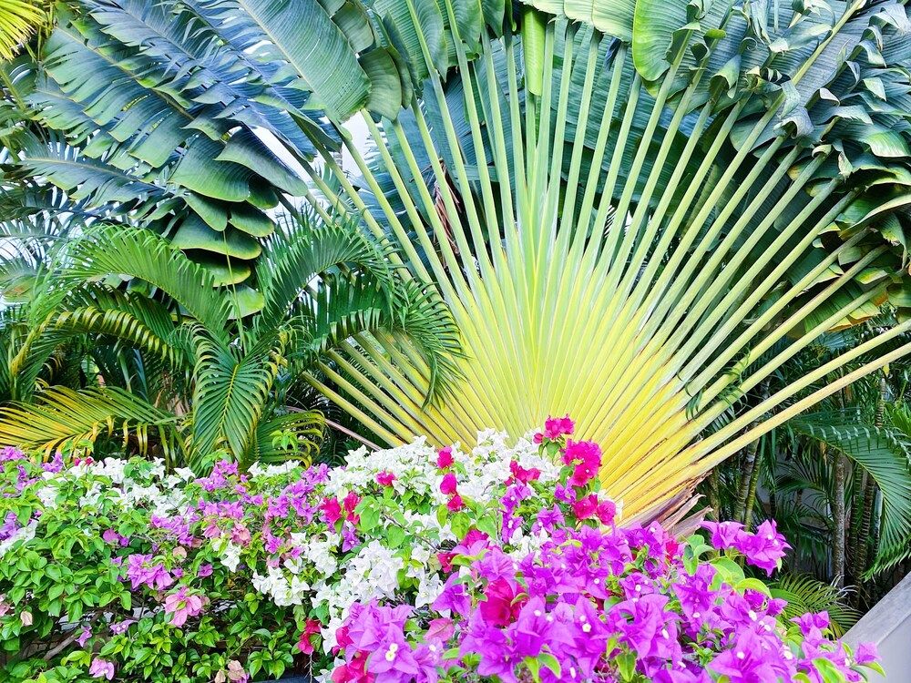 Luxe 2br Pool Villa Walk to Bangtao Beach Villa, 2 Bedrooms, Smoking, Private Pool 18