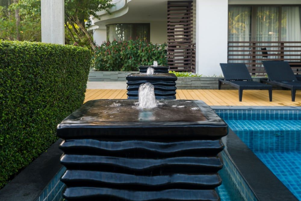 undefined Nakalay Palm by Lofty