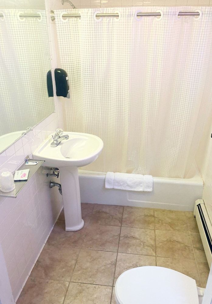 Brewer Motor Inn Basic Room, 2 Double Beds (Pet Friendly) 3