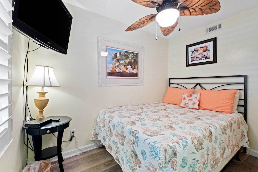 Apartment (1 Bedroom)