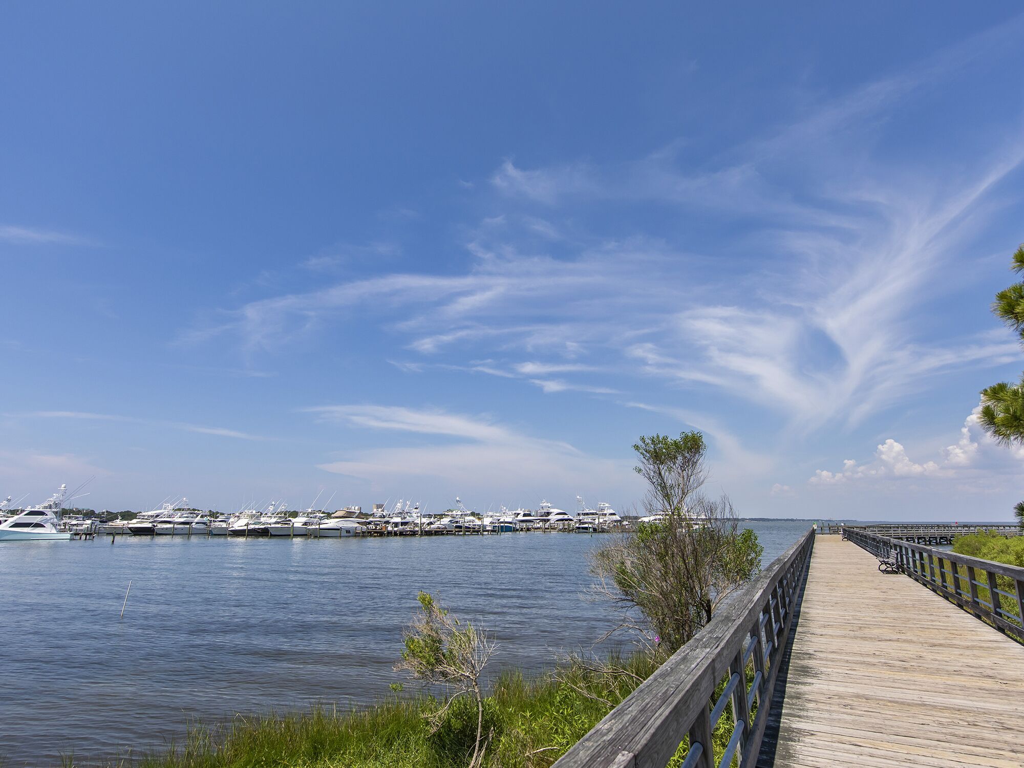 Water View
