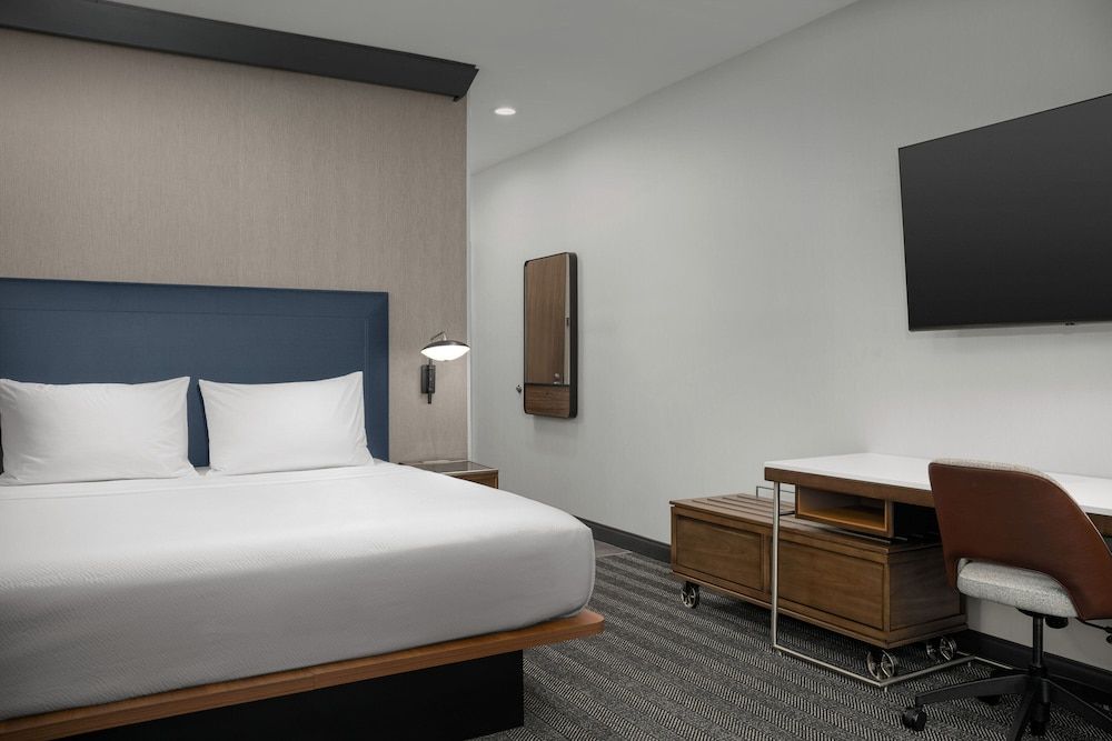 Standard Room, 1 King Bed with Sofa bed