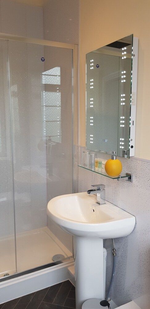 The Ring Pub Bed and Breakfast Double Room (Mynydd Parys) 8