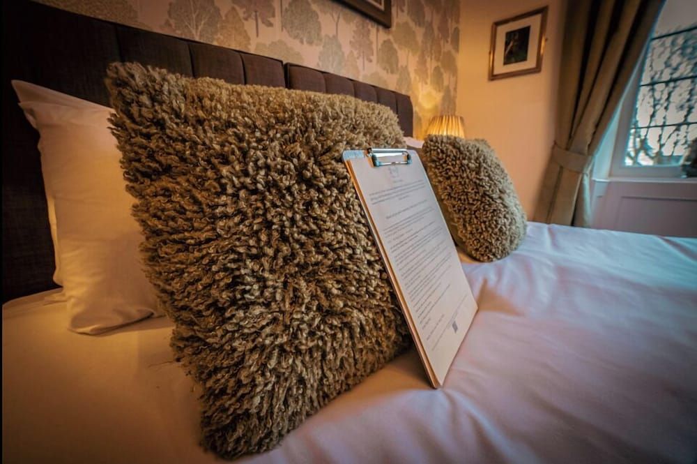 The Ring Pub Bed and Breakfast Double or Twin Room (Niwbwrch) 2