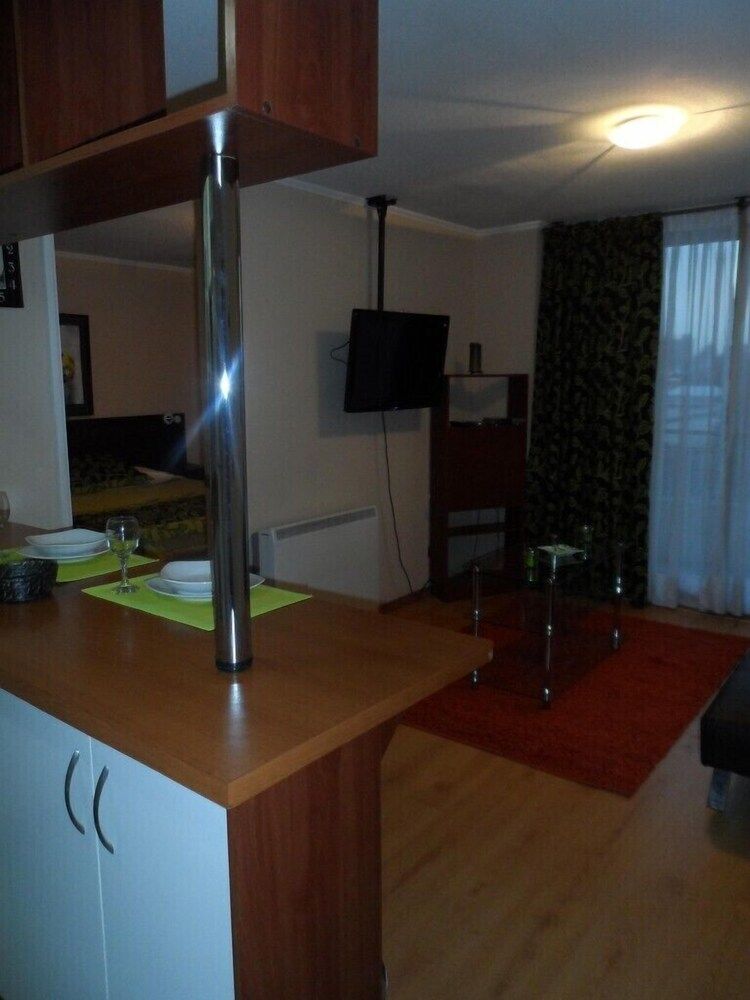 Vivir en Santiago - Bellavista Apartment, 1 Bedroom 20