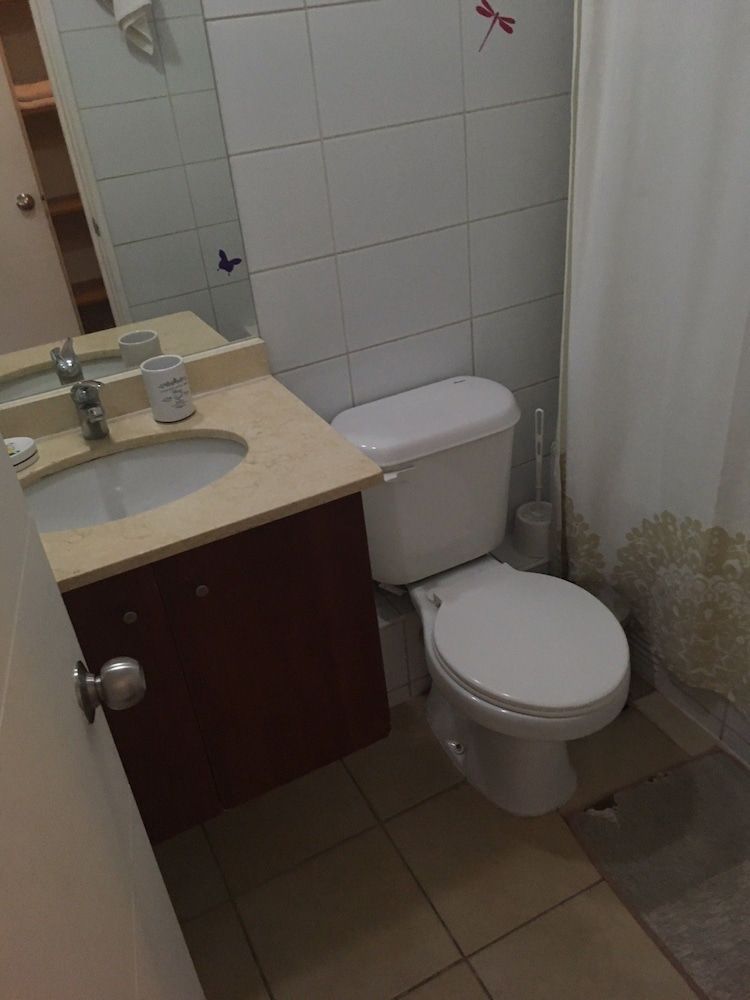 Vivir en Santiago - Bellavista Apartment, 1 Bedroom 27