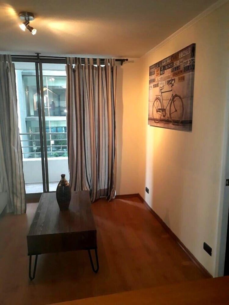 Vivir en Santiago - Bellavista Apartment, 1 Bedroom 21