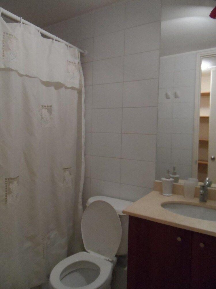 Vivir en Santiago - Bellavista Apartment, 1 Bedroom 28