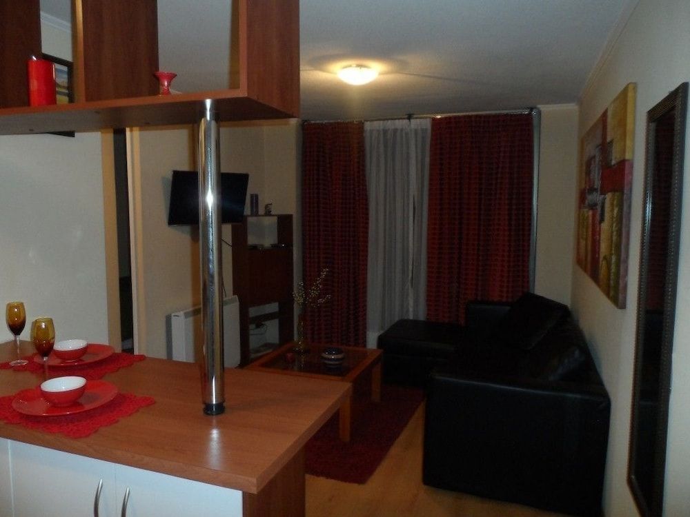 Vivir en Santiago - Bellavista Apartment, 2 Bedrooms 7