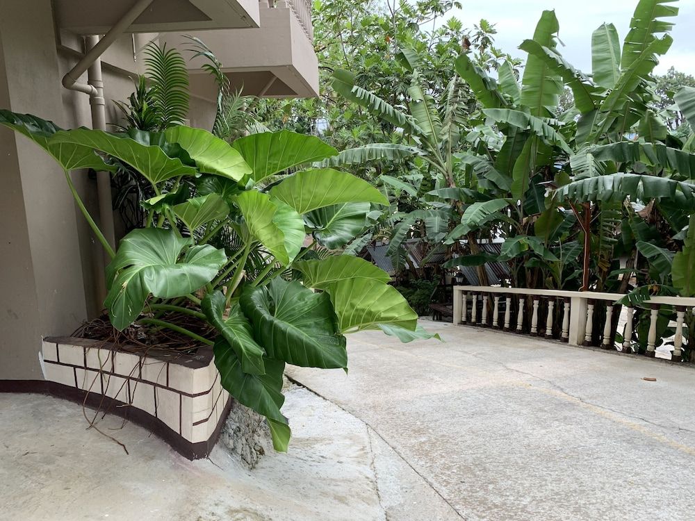 Yvonne's Hotel
