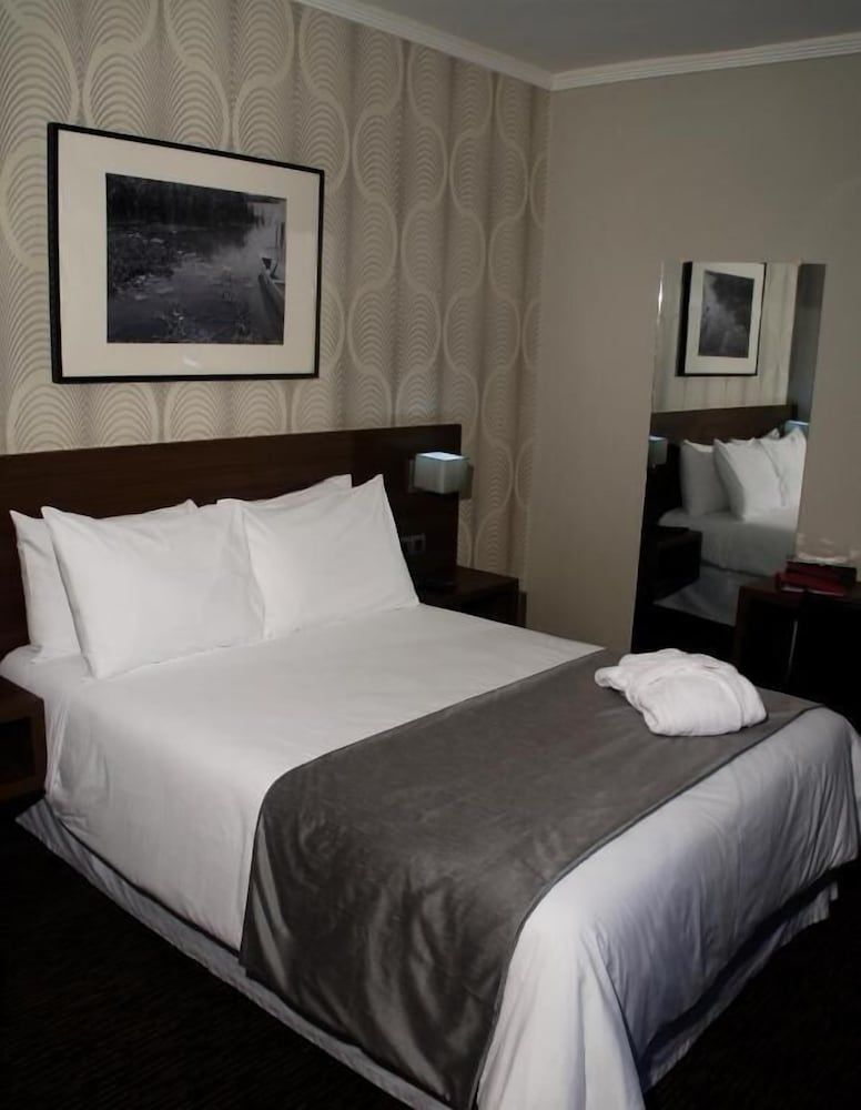 Hôtel alkhaima citycenter Deluxe Single Room