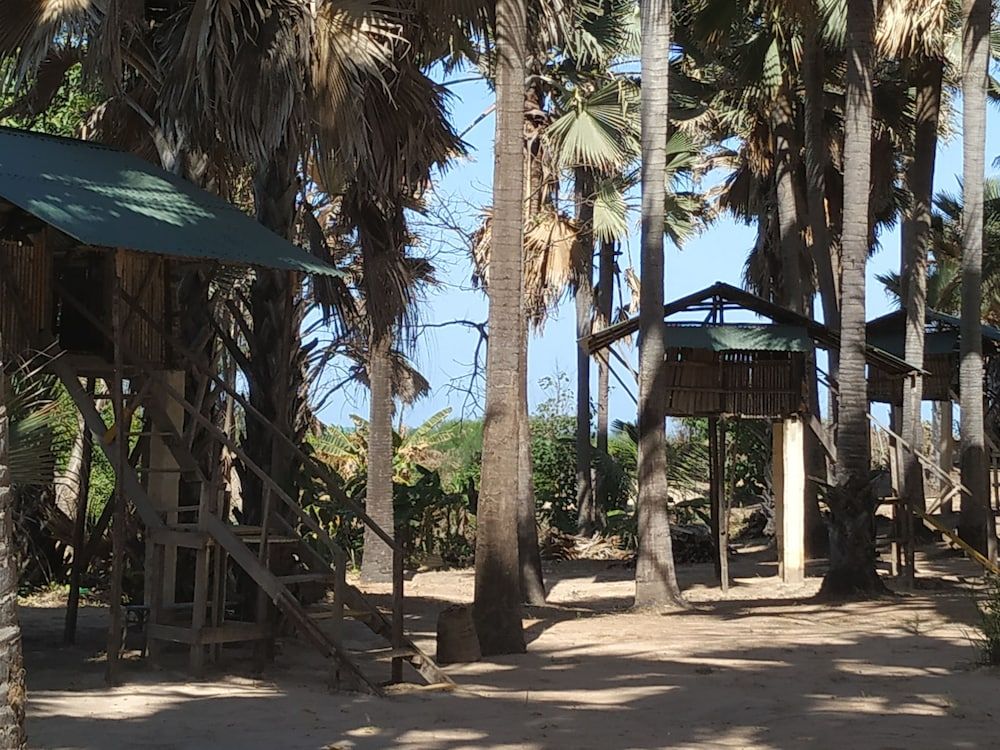 Basic Tree House