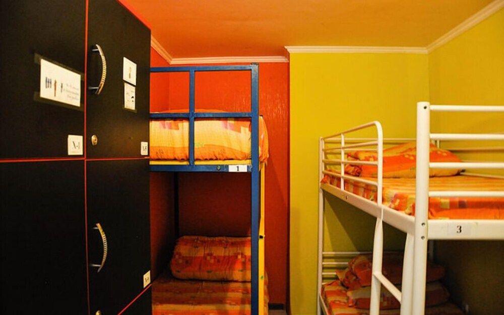 Funky Mamaliga Hostel Shared Dormitory, Mixed Dorm, Garden View (8 beds) 3