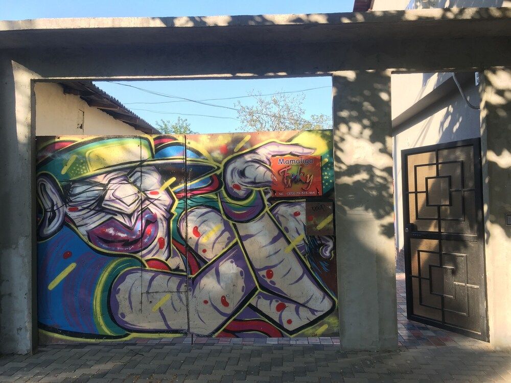 undefined Funky Mamaliga Hostel 4