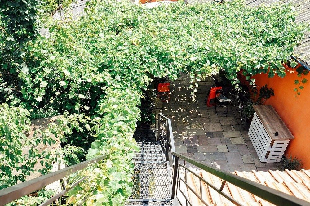 undefined Funky Mamaliga Hostel 5