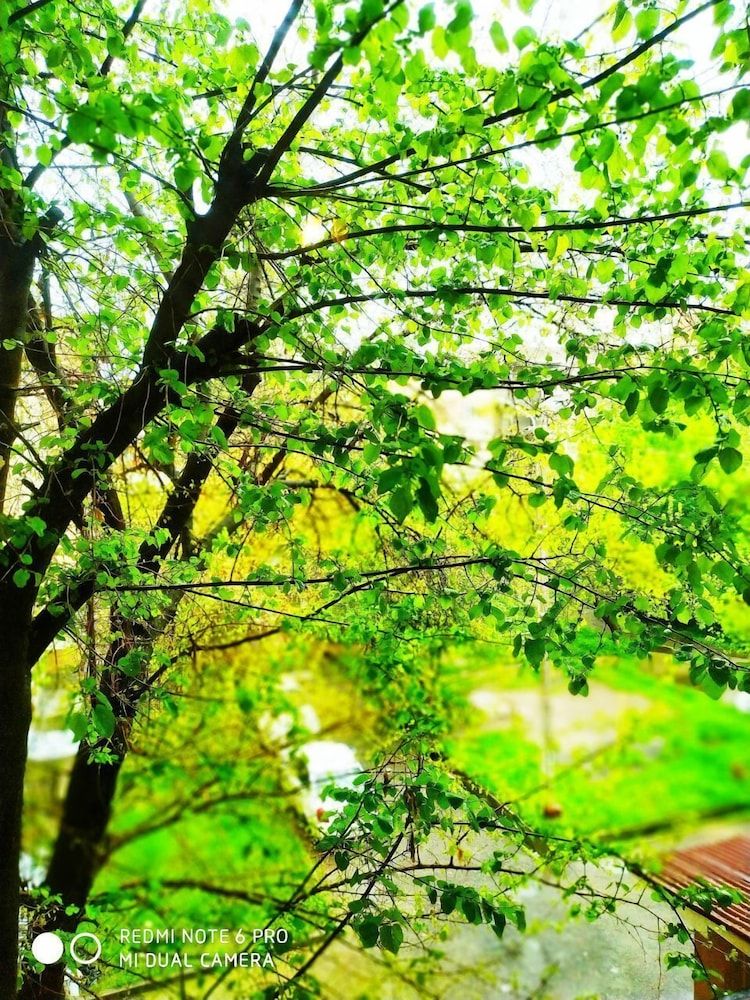 undefined Central Penthouse Navigator 2