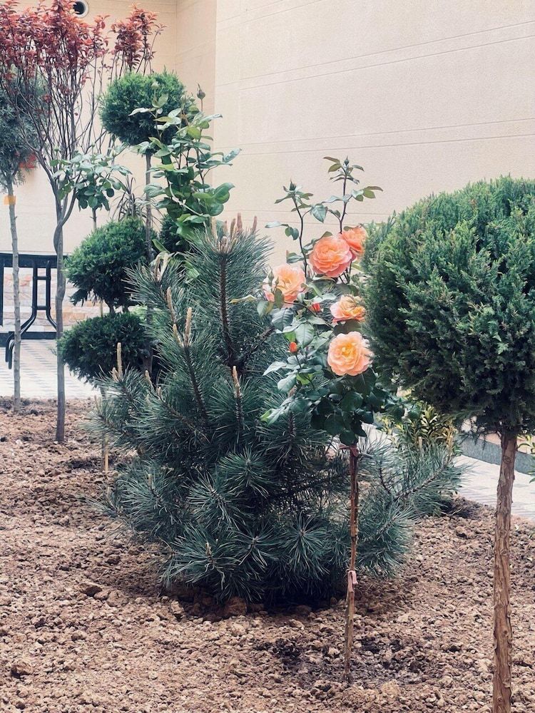 undefined Bristol Hotel Tashkent 4