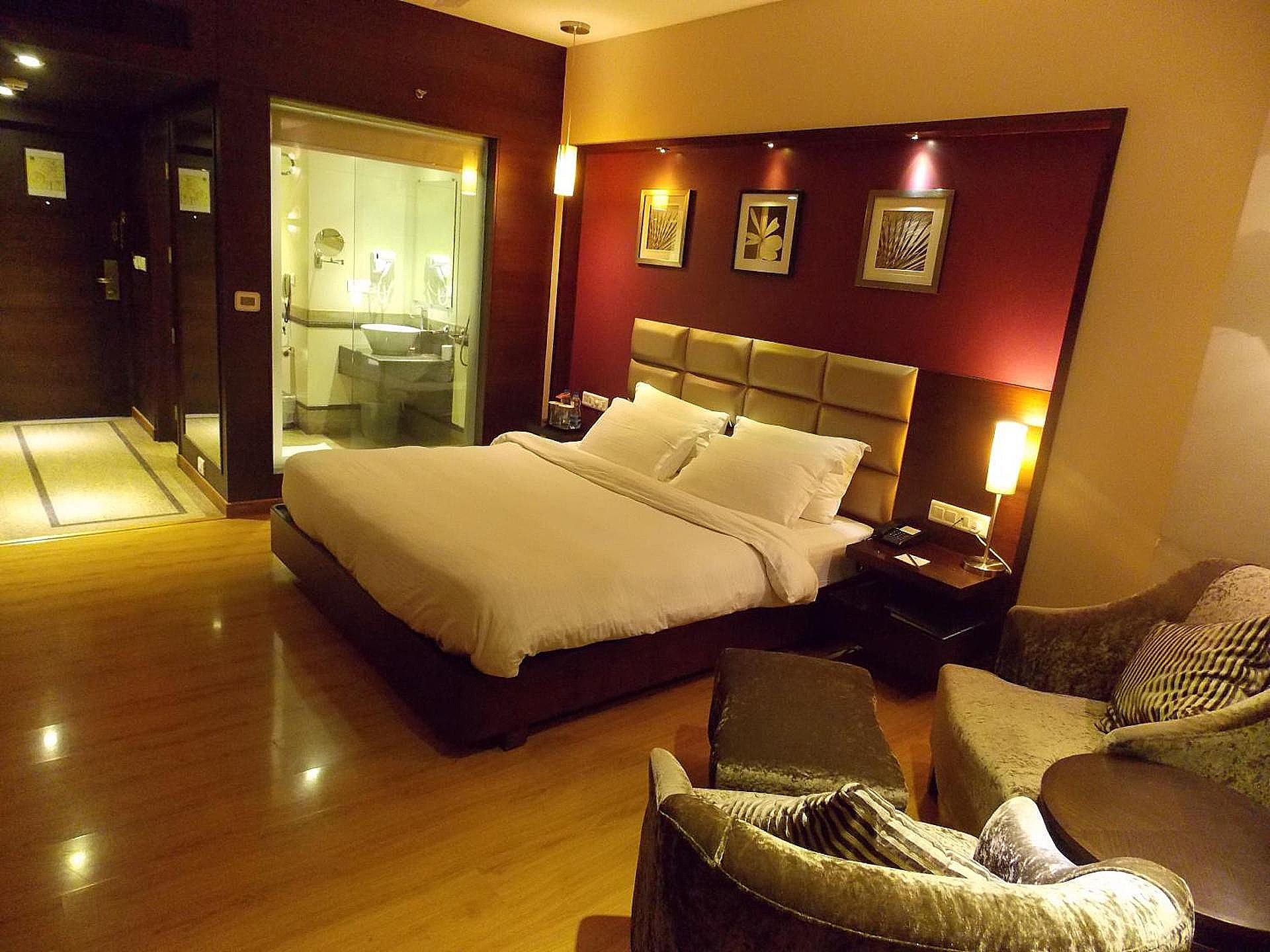 Lords Plaza Surat Deluxe Room 8