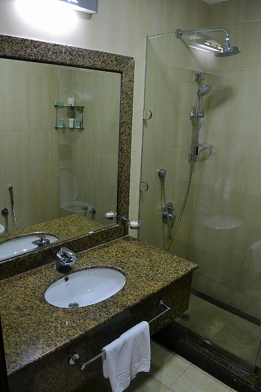 Palm Inn Hotel Doha Deluxe Park View King Room 3