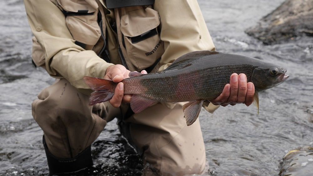 undefined Bulbul Jamak Travel Guesthouse 3