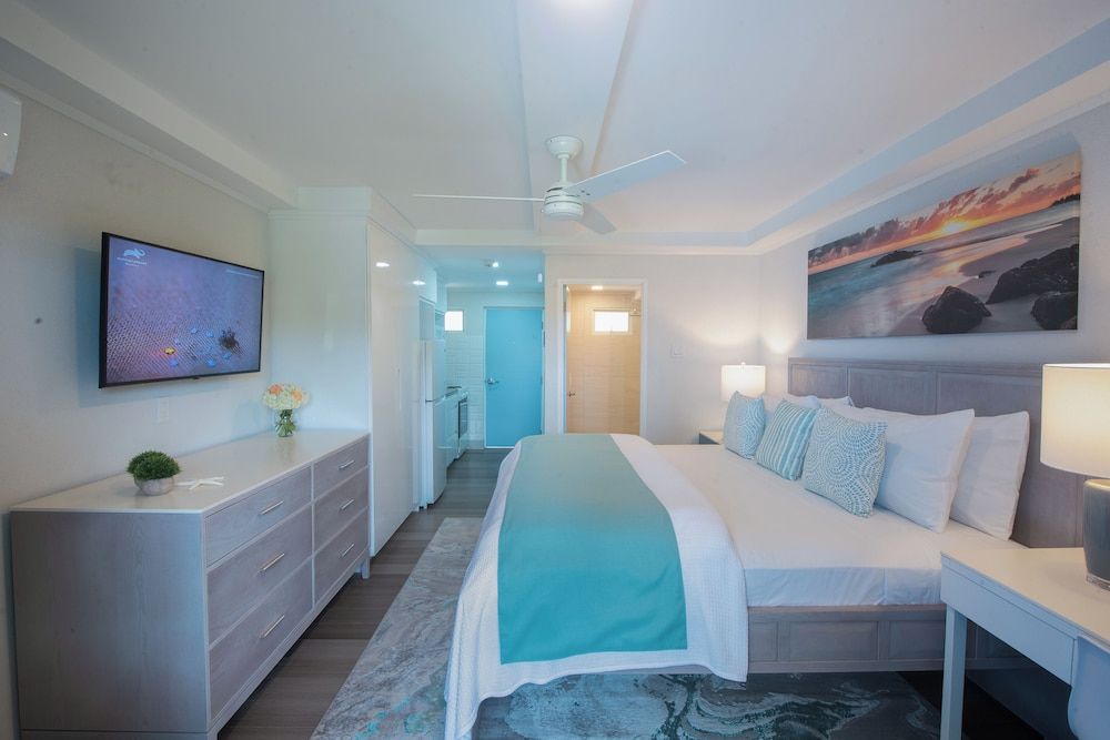 Studio, 1 King Bed