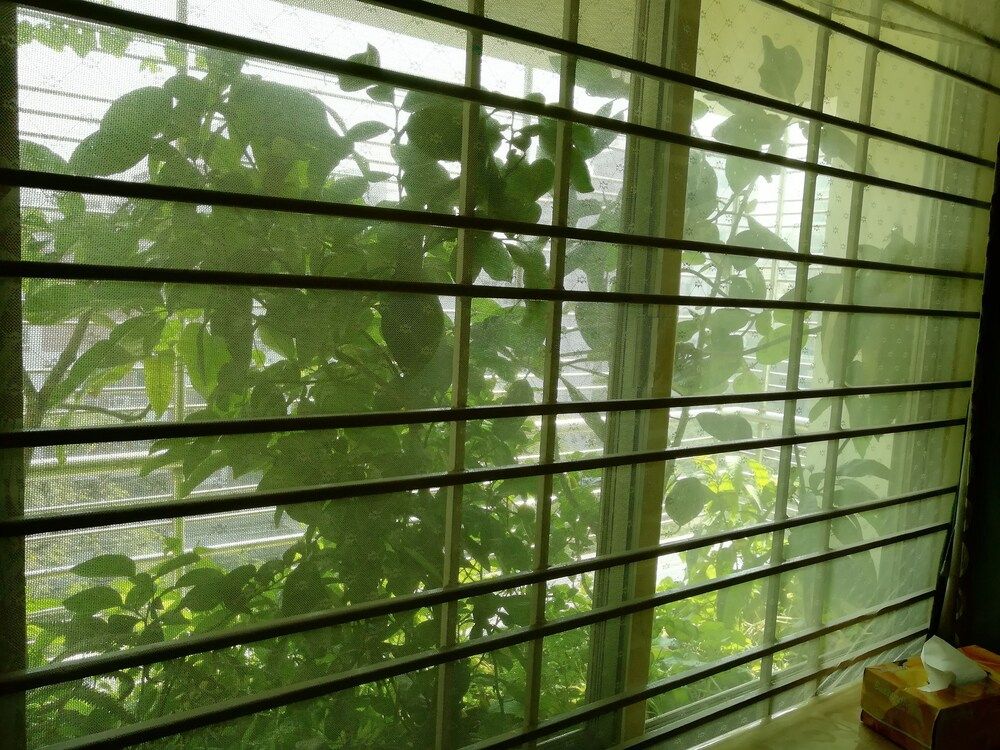 undefined Sabrina's Home - Hostel