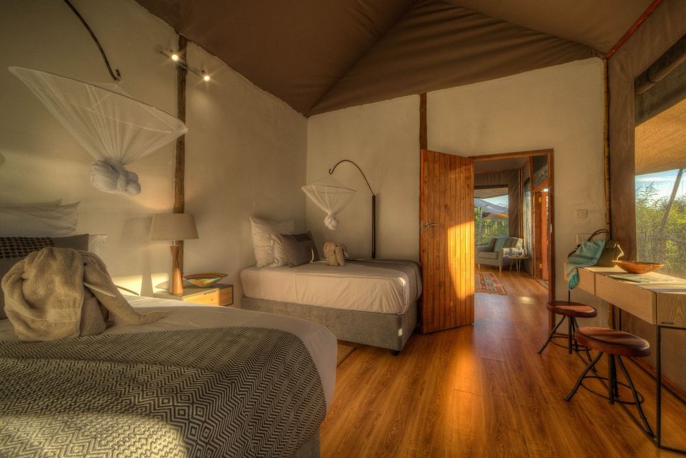 Nokanyana Family Tent 2