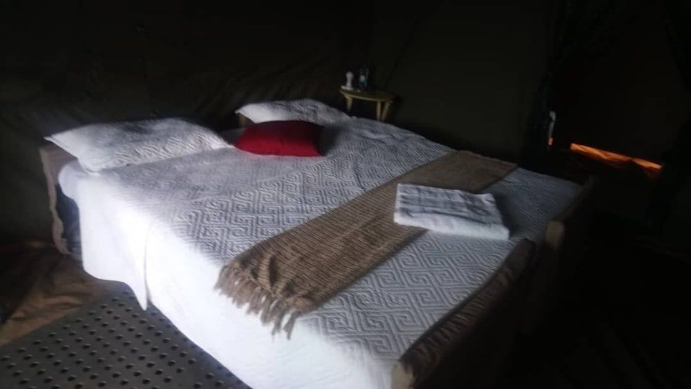 Bush Baby Calls mobile camps