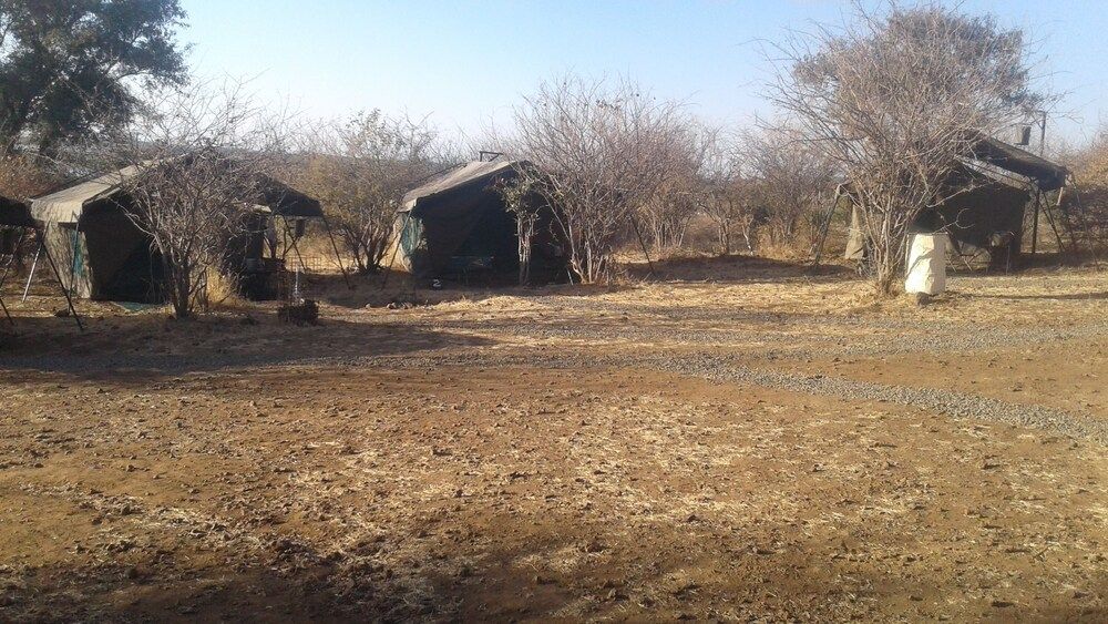 Pop Lamont Camp Luxury Tent 2