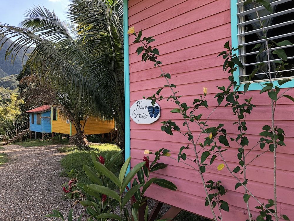 T.R.E.E.S Research Center and Eco Lodge