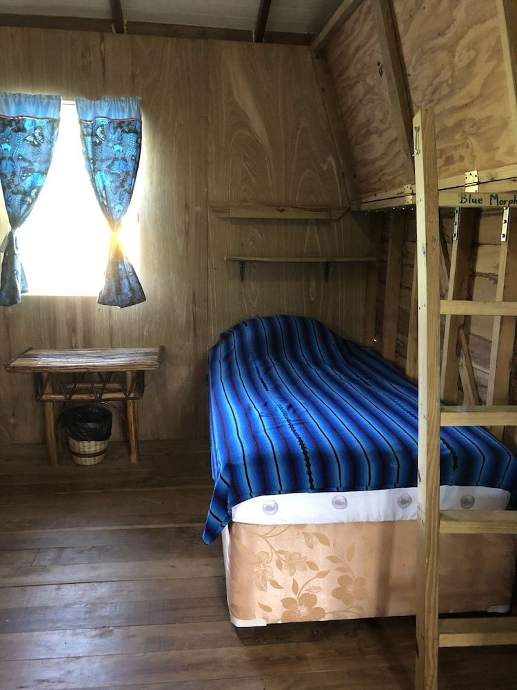 T.R.E.E.S Research Center and Eco Lodge Family Cabin (Jacamar) 5