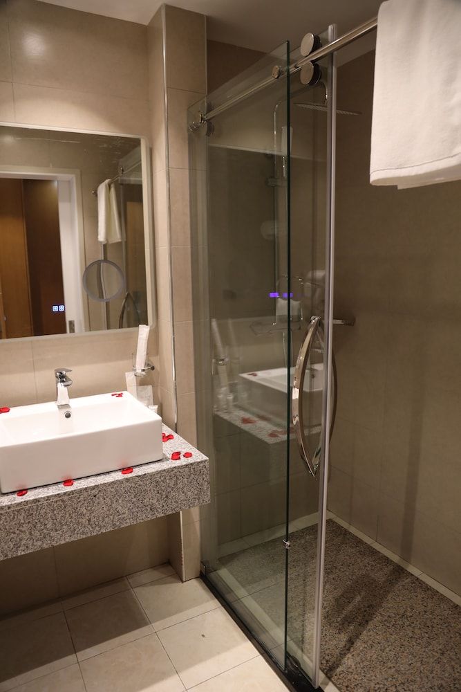 Hayes Hotel Addis Ababa Standard Room 5